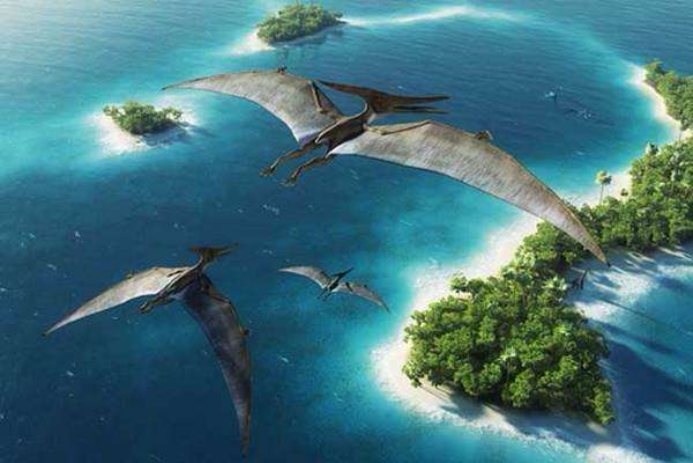 247玩乐行 | 大型奇幻冒险儿童剧《圆梦恐龙岛》