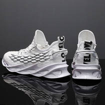 Spring Breathable Fly Weaving Mens Shoes Fashion Little White Tide Mens Cloth Shoes New Knife Vanguard Students Casual Running Shoes Cloth Shoes