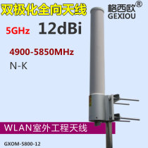 Gessio 5G 5 8G dual polarization MIMO outdoor omnidirectional gain antenna 12db WIFI antenna coverage AP