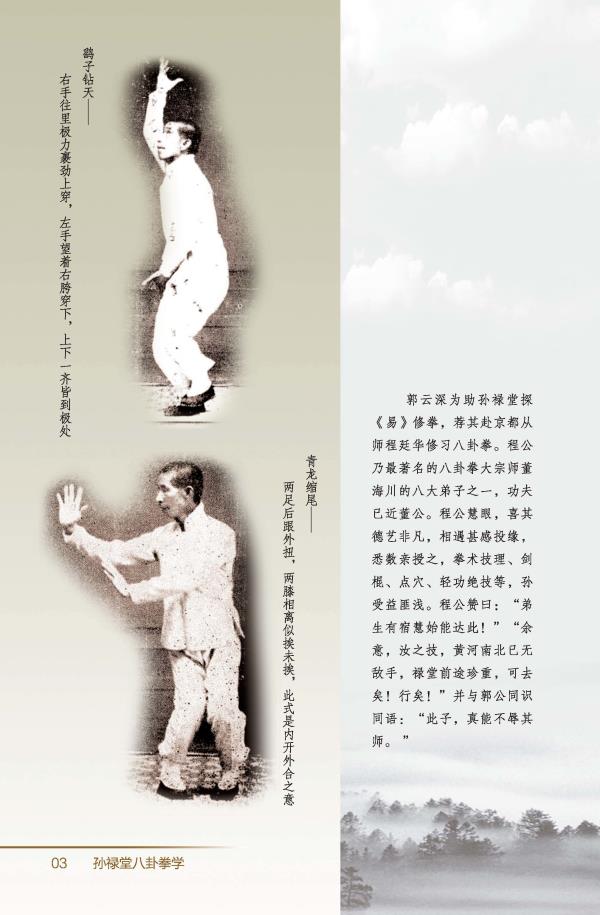 正版现货 孙禄堂武学集注——八卦拳学