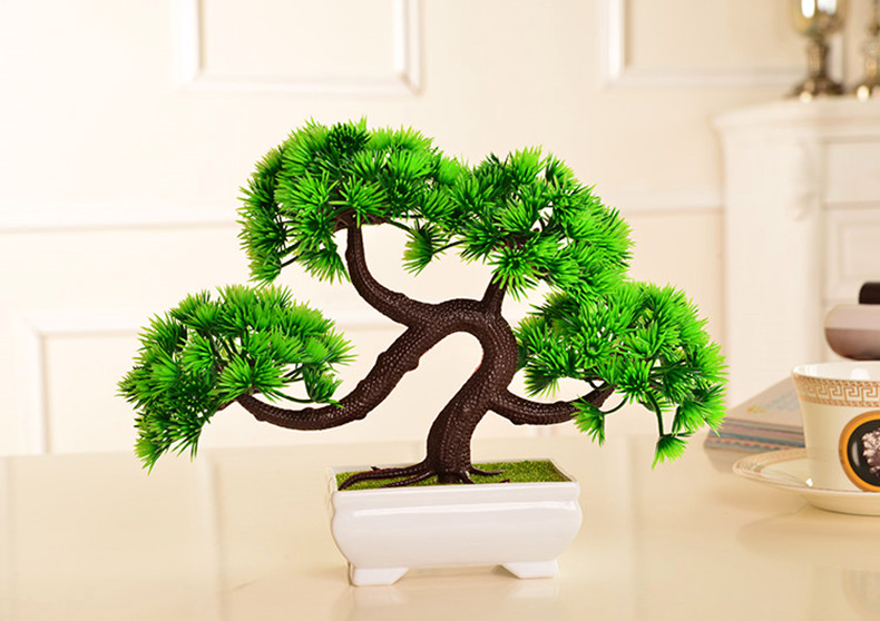 бонсай Hejia ornaments бонсай Hejia ornaments