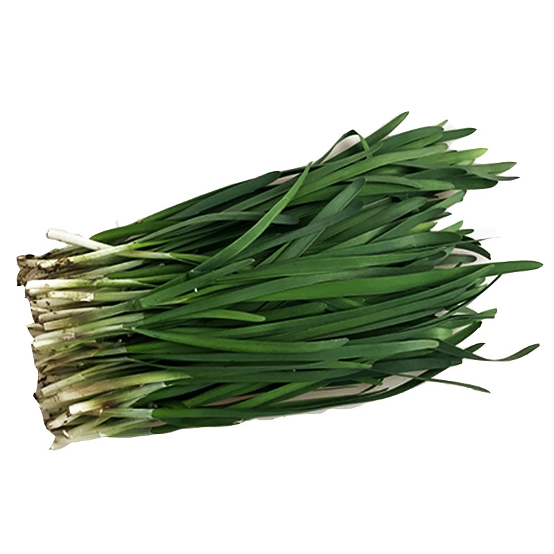 【绿源禾心】有机韭菜,叶茎鲜绿,口感微辣 现割现发货 500g_7折现价