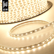 Super bright 3528 patch light with living room bedroom ceiling LED light with LED light with 60 beads upgrade