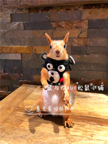 Squirrel small clothes handmade knitted small clothes Groundhog clothes cute cute sale cute photo (Kumamoto model)