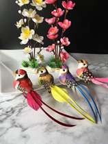 Hotel Japanese cold food dishes sashimi platter Creative embellishment Flower plate Decorative flower mood simulation bird pieces