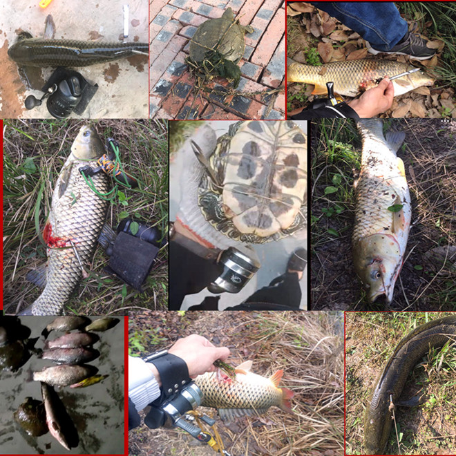 鱼镖射鱼套装射鱼器射鱼镖套装飞鲨镖鱼箭子弹镖渔镖轮弹弓打鱼标