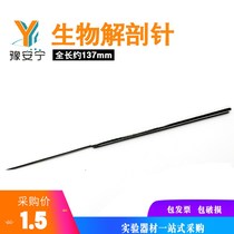 Insect Anatomical Needle Stainless Steel Secondary School Student Body Experimental Probe Straight Tip Teaching Anatomical Tool