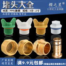 20 New thickened PPR outer wire plug inner wire plug inner tooth outer tooth copper wire plug cap 4 points 6 points 1 inch 2532