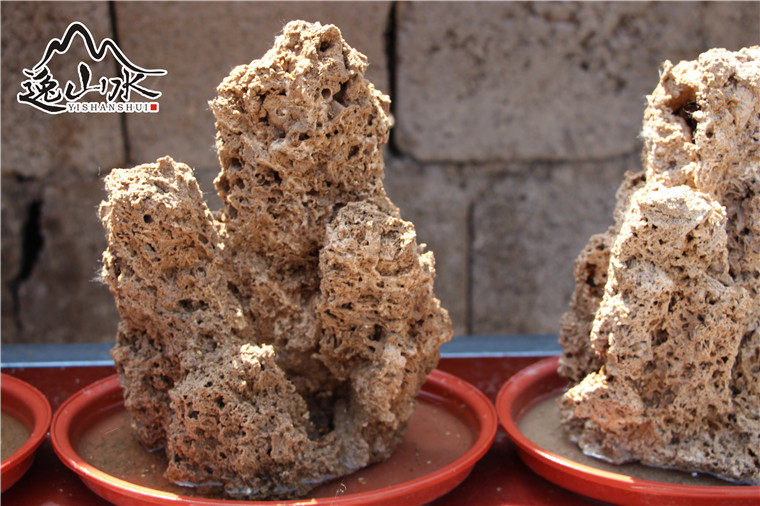 吸水石上水锈石假山盆景植物20cm厘米