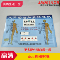 Acid-base flat ddls machine stickers electrotherapy machine stickers