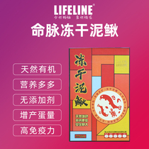 The lifeblood freeze-dried Loach turtle universal dragon fish food Loach pet snacks cats and dogs universal high protein nutrition dry Loach