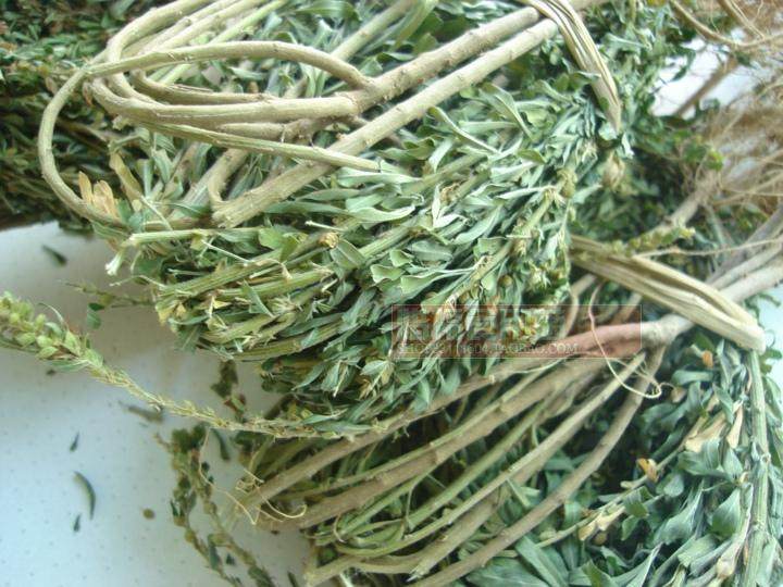 2斤包邮全草晒干夜关门 截叶铁扫帚 封草 小首蓿 关门草 500克