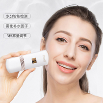 SKG Water Replenishing Instrument Nano Sprayer Handheld Moisturizing Steamed Face Cold Spray Instrument Domestic Facial Beauty Portable Rechargeable