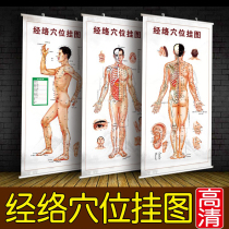 Traditional Chinese Medicine Body Meridians Acupoint Figure Large Wall Chart Great Wall Chart Moxibustion Acupuncture Standard Meridian Diagram High Definition Home Body Decoration Painting