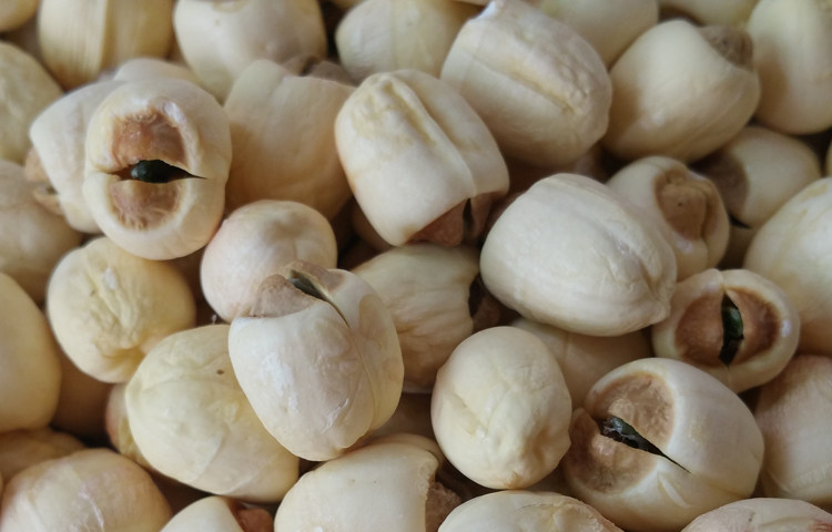 2019年江西广昌有芯特级莲子 石城农家莲米干货 500g粉糯带芯白莲