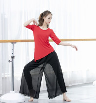 Modern Modal dance practice suit oblique angle middle sleeve classical body suit kindergarten teacher basic skills practice suit summer