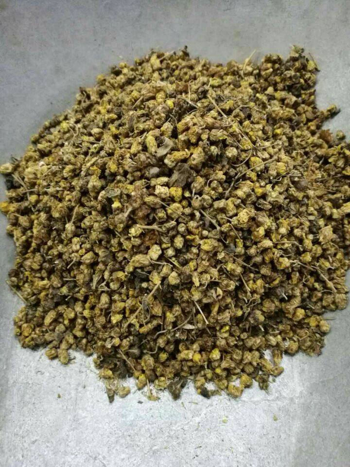 野菊花茶 野生菊花胎菊 野菊米2斤包邮