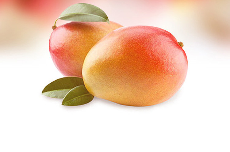 秘鲁太阳芒2只1618斤份9只788斤原箱