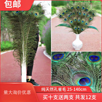 Pure natural wedding peacock feather real feather tail big eyes DIY jewelry living room decoration bird feather vase accessories