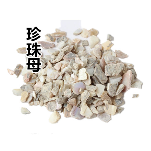 申奥正品中药材 珍珠母贝 珍珠母 明珠母 珍珠母 500克