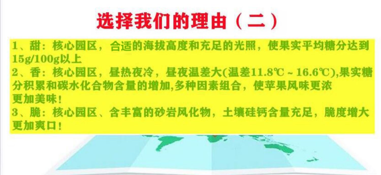 正宗洛川陕西红富士苹果