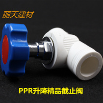 Plumbing accessories 202532 boutique lift globe valve PPR valve ppr circlip thickened spool blue handle 4 points 6 points