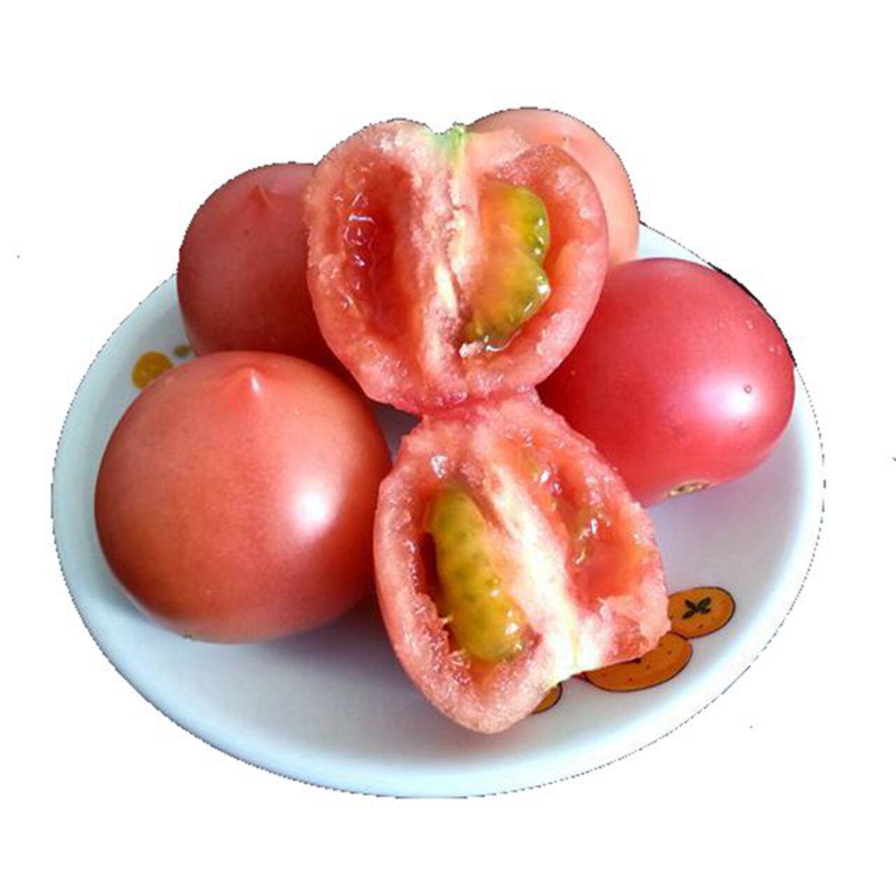 农家新鲜水果春桃千禧圣女果小西红柿樱桃番茄应季蔬菜5斤包邮