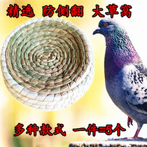 Pigeon supplies pigeon nests grass nests chicken nests plastic egg nests pigeon supplies birds nests parrot nests