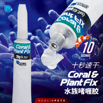 P brand aquarium coral glue SPS glue LPS glue Hard bone coral glue Underwater sticky Aronfa 20G