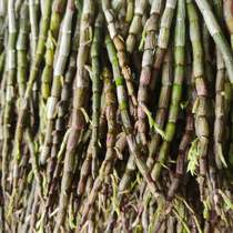 4 years quality Dendrobium powder 100g