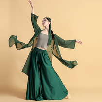 Classical dance performance clothing female elegant Chinese style body rhyme gauze chiffon big shirt performance practice clothing mid-length ethnic