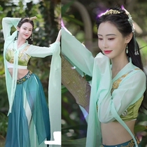 Classical dance costume female water sleeve dance performance costume ancient style elegant long skirt adult Han and Tang ancient costume fairy Chinese style