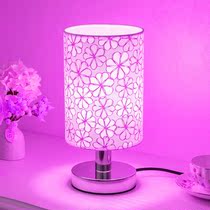 Net red couple room atmosphere light bedroom mood bedside table lamp couple ambiguous dream romantic colorful night light