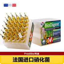 French imported Codi nitrifying bacteria fresh water trace element bacteria grain water quality stabilizer 30 water grass liquid fertilizer