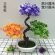 Hoa nhân tạo hoa nhựa cây xanh cây cảnh bonsai chậu cây mô phỏng hoa chào mừng cây thông nhà phòng ngủ phòng khách bộ đồ trang trí hoa - Hoa nhân tạo / Cây / Trái cây