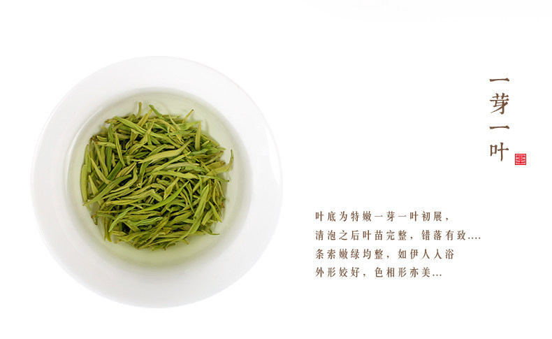 云升早春绿茶 永川秀芽50g名优茶 2019春茶 重庆特产茶清香型茶叶