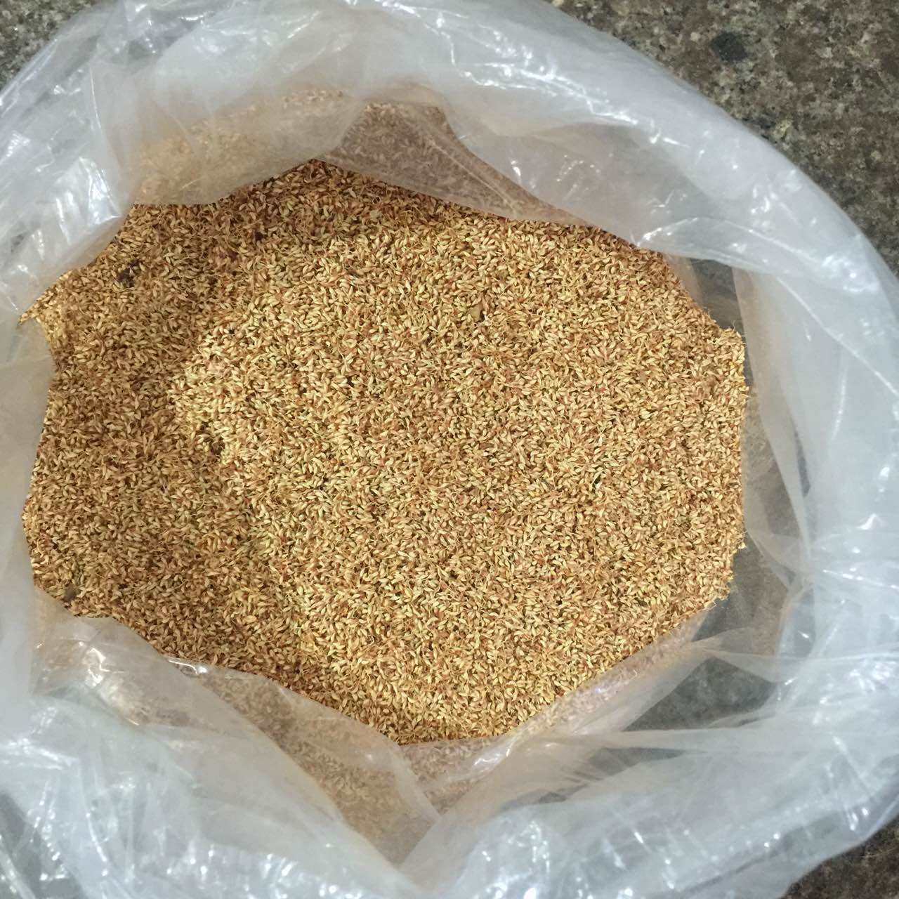 野生木莲籽木莲豆腐籽浙江诸暨特产木莲子薜荔冰粉籽250g爱玉子籽