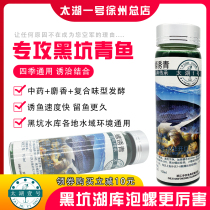 Autumn and winter bubble snail fishing small medicine black pit giant big green bubble field snail lure agent Taihu No. 1 bubble snail lure green medicine