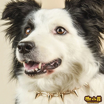 Dog rivet collar French Dou Bagot German Shepherd personality retro necklace cat neck decoration photo pet collar products