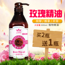 Rose Hip Oil Plant Essence Body Massage Essential Oil Whole Body Open Back Moisturizing and Moisturizing Meridian Beauty Salon