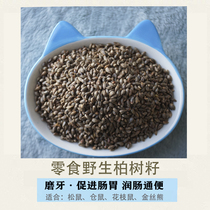 Squirrel hamster food snack Cypress seed promotion stomach flower bear black tail Prairie black tail marmot feed