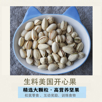 (Raw pistachio) Hamster Demon King Golden Flower Squirrel eat food snacks molars staple food feed calcium supplement