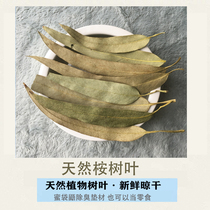 Hamster squirrel honey-ladger eucalyptus leaf deodorant disinfection mat antibacterial insect repellent snacks male honey estrus