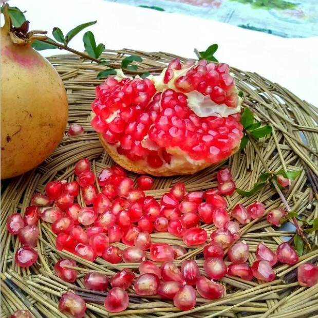 山东枣庄石榴 大马牙冰糖石榴薄皮软子甜石榴新鲜水果10斤装包邮