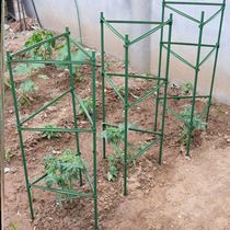 Gourd climbing pergola bracket Outdoor tomato climbing pergola bracket planting basin rack rod square anti-hanging tomato rack shelf