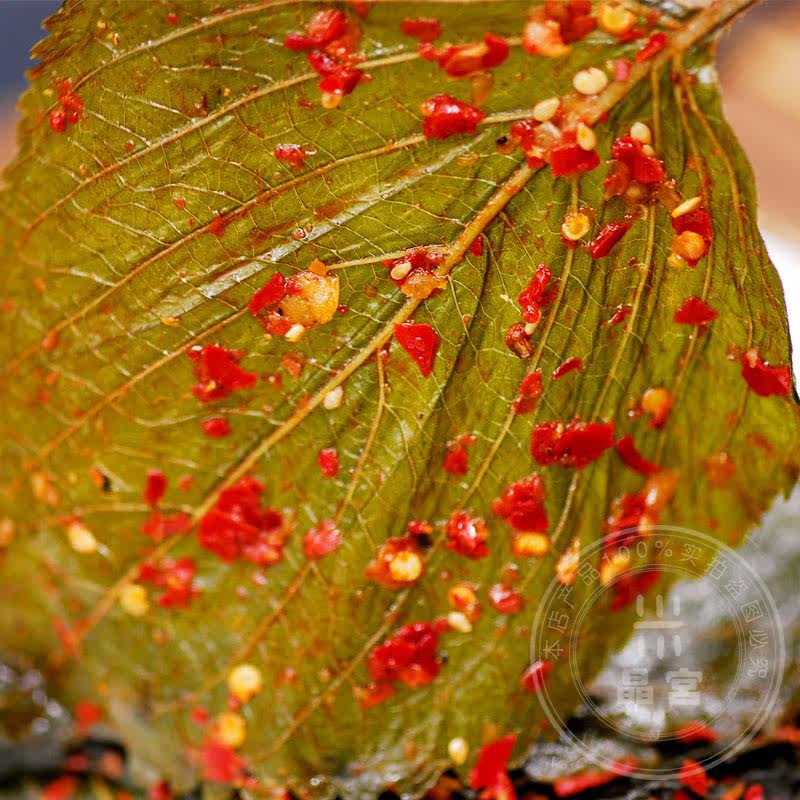 韩国泡菜延边特产朝鲜族苏子叶泡菜类香辣咸菜芝麻叶东北特产包邮