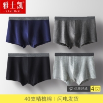 Mens underwear Mens boxer shorts pure cotton 100%cotton breathable youth sexy four-corner plus size shorts head tide