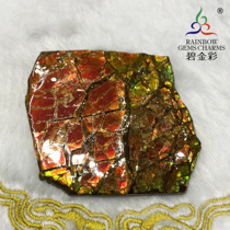 Bi Jincai Natural Canadian Spotted Gemstone Golden Red Color Original Stone Epares Snail Fossils