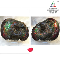 Bi Jincai Natural Canadian Spotted Gem Snail Heart Pastel Snail Fossil
