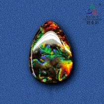 Bi Jincai Natural Canadian spotted stone stone stone stone fossil